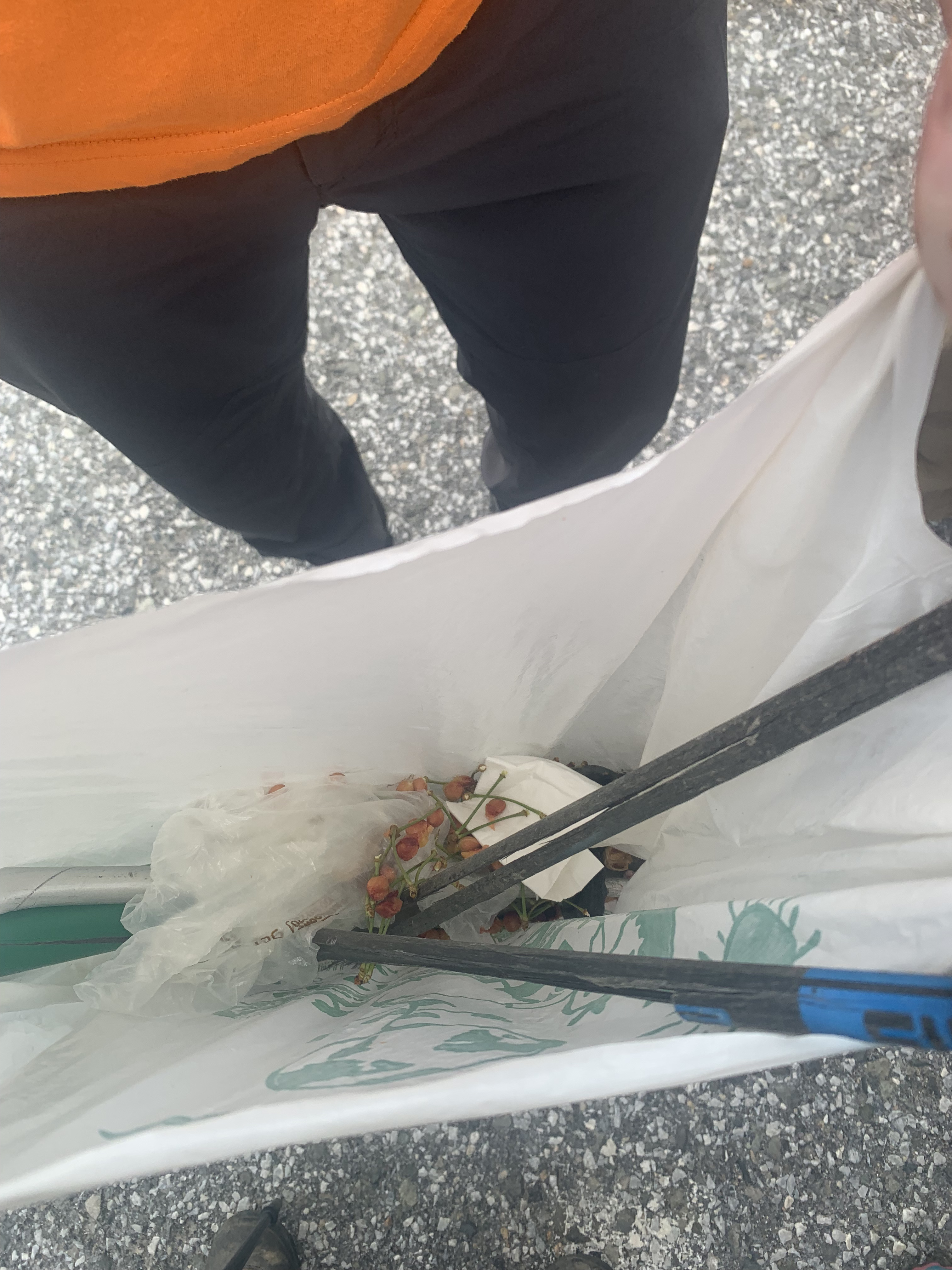 Fotografía de la recogida de basura y limpieza de la zona