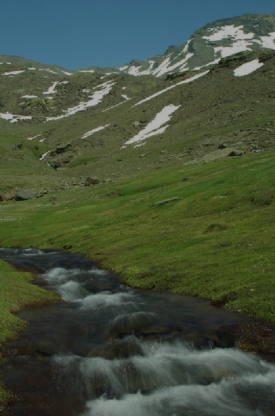 Imagen de las nacientes del río Dílar