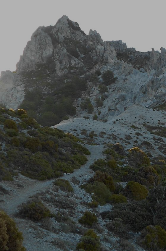 Imagen del Picacho Alto